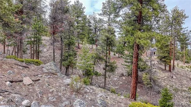 30176 Mountaintop Drive Buena Vista, CO 81211
