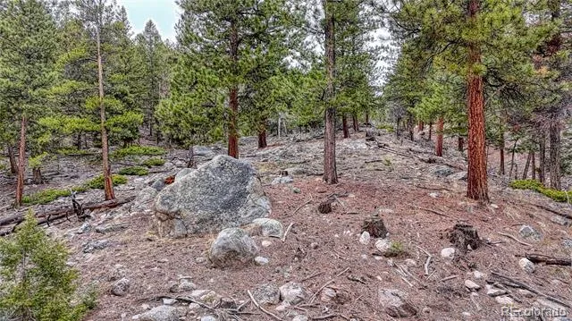 30176 Mountaintop Drive Buena Vista, CO 81211