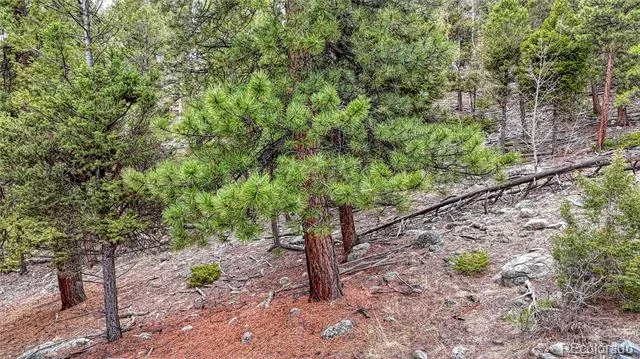 30176 Mountaintop Drive Buena Vista, CO 81211