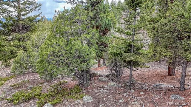 30176 Mountaintop Drive Buena Vista, CO 81211
