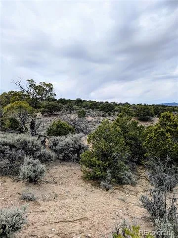 Lot 3589 Freylinghuysen Road Fort Garland, CO 81133