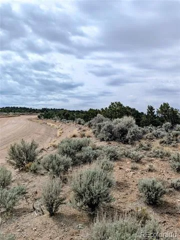Lot 3589 Freylinghuysen Road Fort Garland, CO 81133