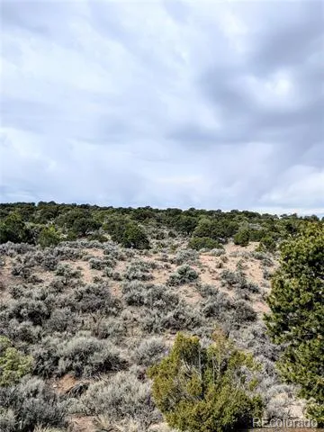 Lot 3589 Freylinghuysen Road Fort Garland, CO 81133
