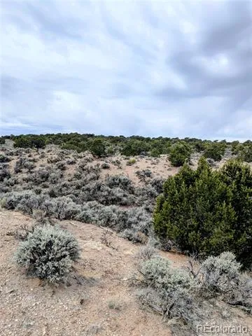 Lot 3589 Freylinghuysen Road Fort Garland, CO 81133