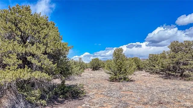 12499 Las Colinas Drive Salida, CO 81201