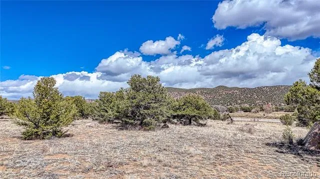 12499 Las Colinas Drive Salida, CO 81201