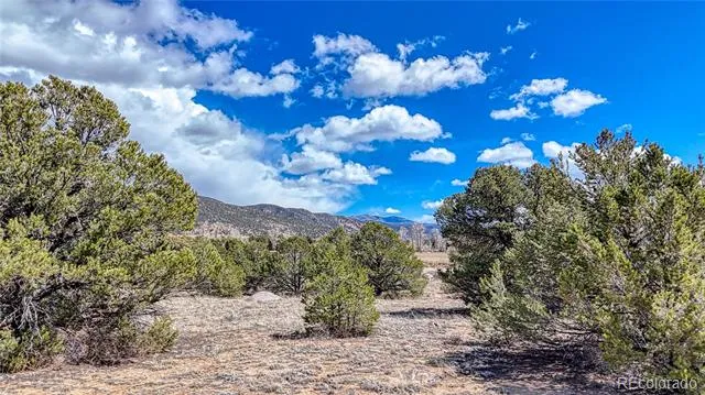 12499 Las Colinas Drive Salida, CO 81201