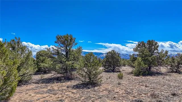 12499 Las Colinas Drive Salida, CO 81201