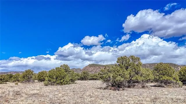 12499 Las Colinas Drive Salida, CO 81201