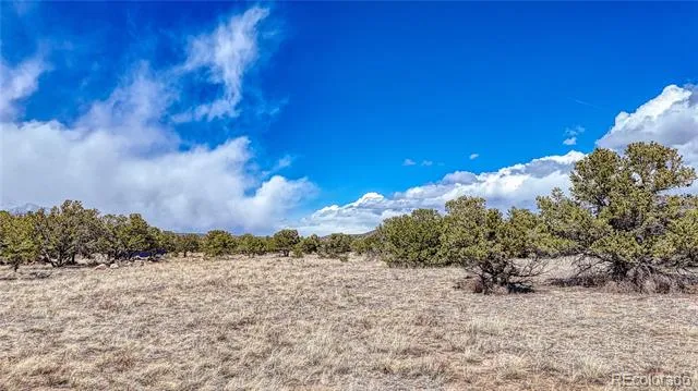 12499 Las Colinas Drive Salida, CO 81201