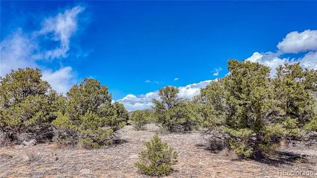 12499 Las Colinas Drive Salida, CO 81201