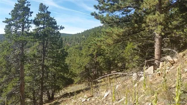 32778 Janelle Lane Golden, CO 80403