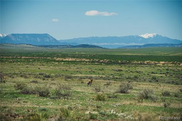 LOT 262 County Rd 103 Walsenburg, CO 81089
