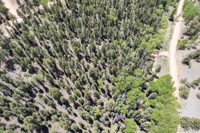 546 Spring Valley Lane Florissant, CO 80816