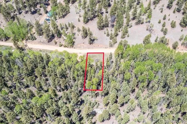 546 Spring Valley Lane Florissant, CO 80816