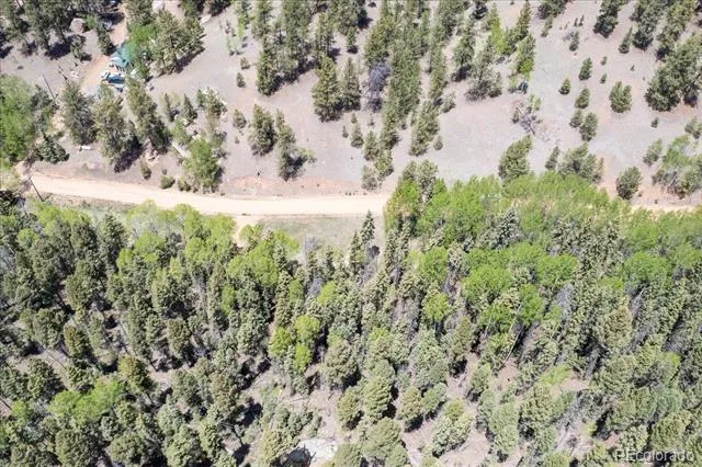 546 Spring Valley Lane Florissant, CO 80816