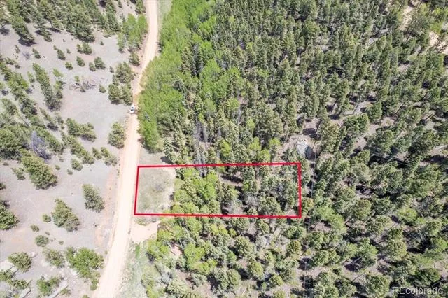546 Spring Valley Lane Florissant, CO 80816