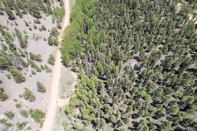 546 Spring Valley Lane Florissant, CO 80816