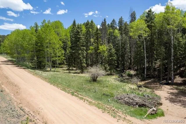 546 Spring Valley Lane Florissant, CO 80816