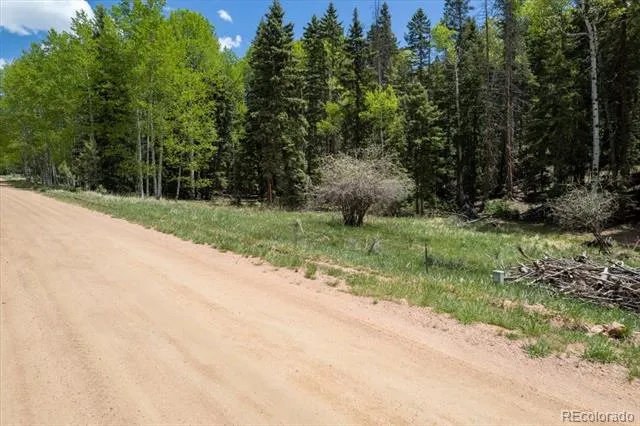 546 Spring Valley Lane Florissant, CO 80816