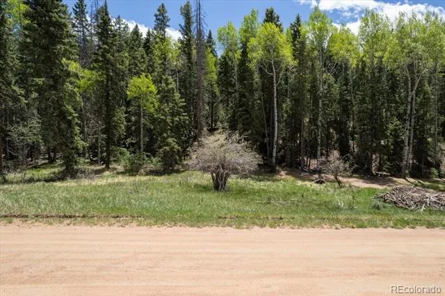 546 Spring Valley Lane Florissant, CO 80816