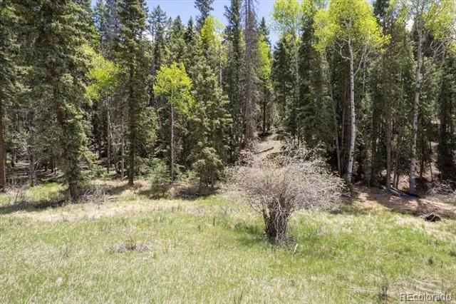 546 Spring Valley Lane Florissant, CO 80816