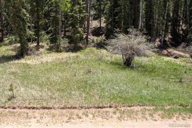 546 Spring Valley Lane Florissant, CO 80816