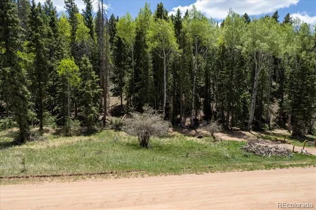 546 Spring Valley Lane Florissant, CO 80816