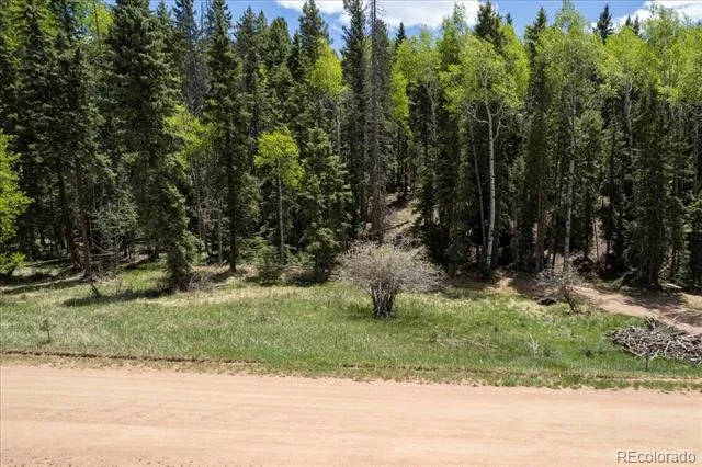 546 Spring Valley Lane Florissant, CO 80816