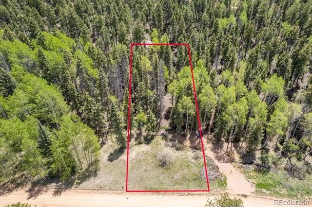 546 Spring Valley Lane Florissant, CO 80816