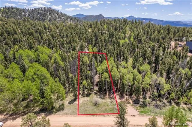 546 Spring Valley Lane Florissant, CO 80816
