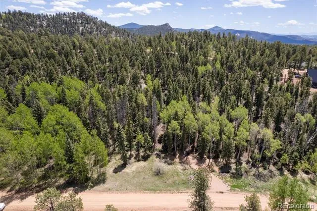 546 Spring Valley Lane Florissant, CO 80816