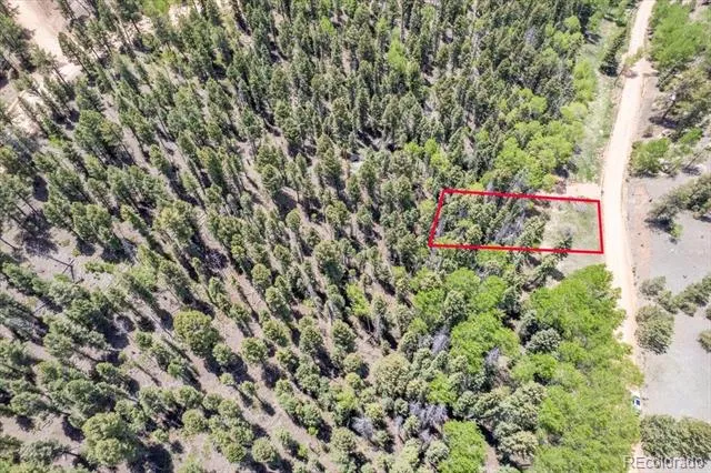 546 Spring Valley Lane Florissant, CO 80816