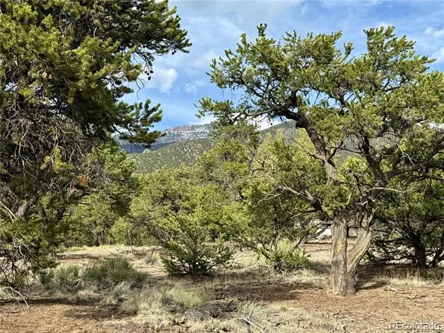 3503 Bivouac Overlook Crestone, CO 81131