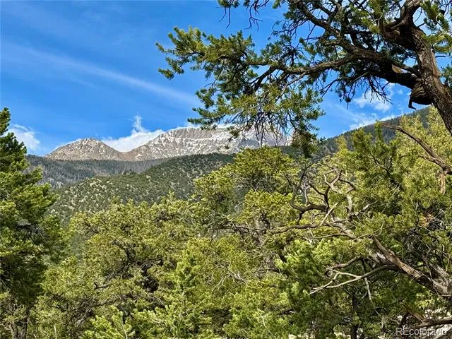 3503 Bivouac Overlook Crestone, CO 81131