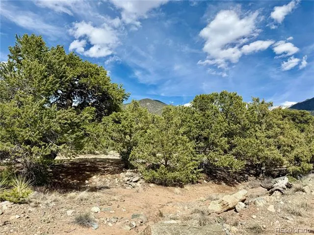 3503 Bivouac Overlook Crestone, CO 81131
