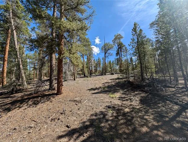 495 Birch Drive Twin Lakes, CO 81251