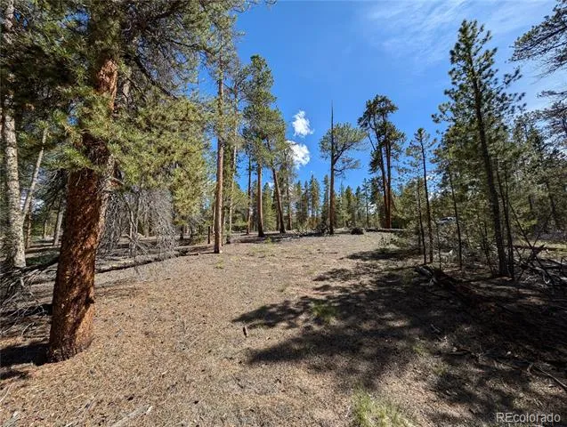 495 Birch Drive Twin Lakes, CO 81251
