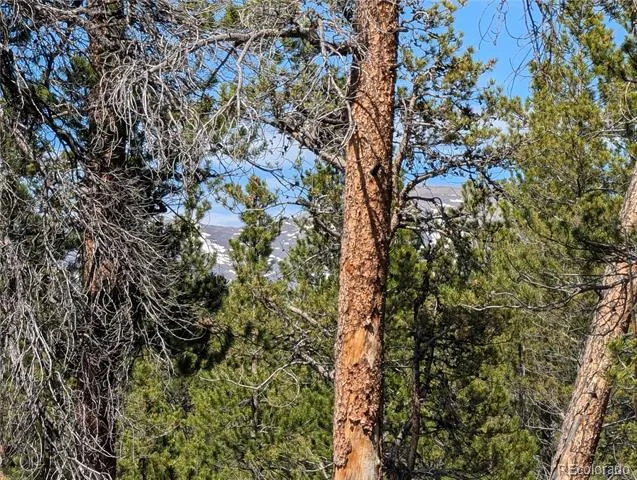 495 Birch Drive Twin Lakes, CO 81251