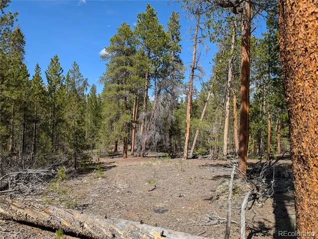 495 Birch Drive Twin Lakes, CO 81251