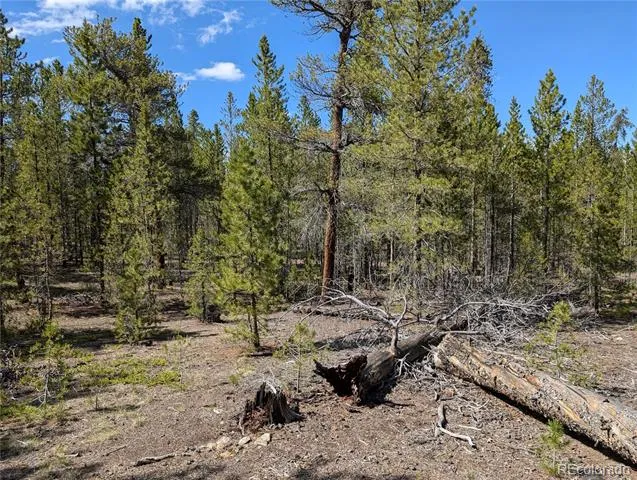 495 Birch Drive Twin Lakes, CO 81251