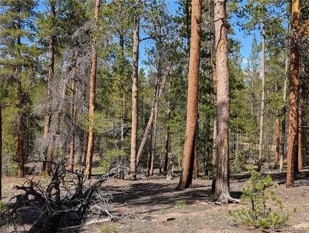 495 Birch Drive Twin Lakes, CO 81251