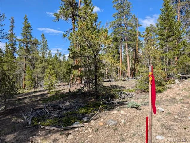 495 Birch Drive Twin Lakes, CO 81251