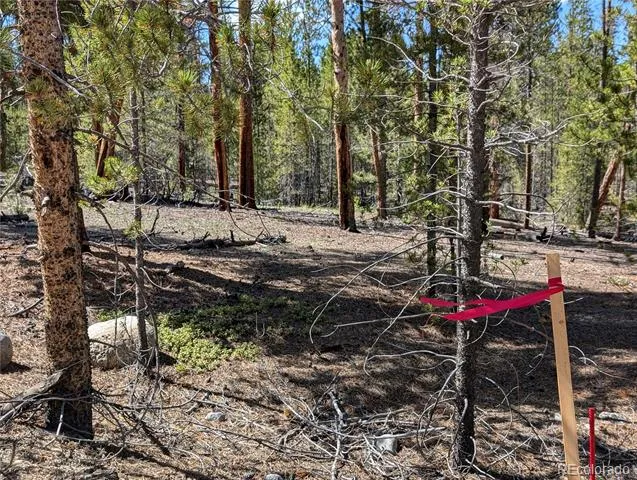 495 Birch Drive Twin Lakes, CO 81251