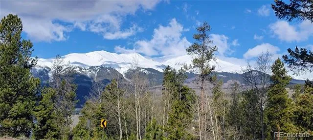 495 Birch Drive Twin Lakes, CO 81251