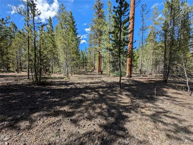 495 Birch Drive Twin Lakes, CO 81251