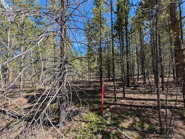 495 Birch Drive Twin Lakes, CO 81251