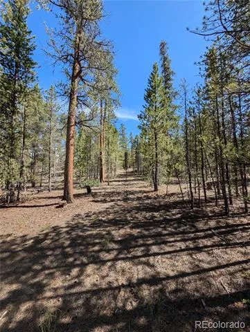 495 Birch Drive Twin Lakes, CO 81251