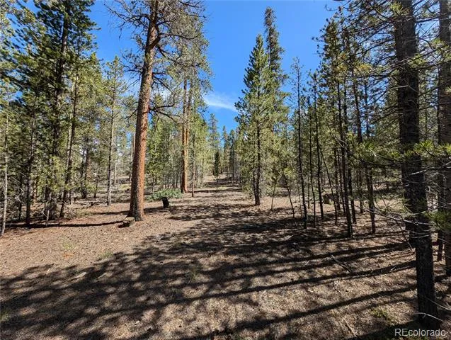 495 Birch Drive Twin Lakes, CO 81251