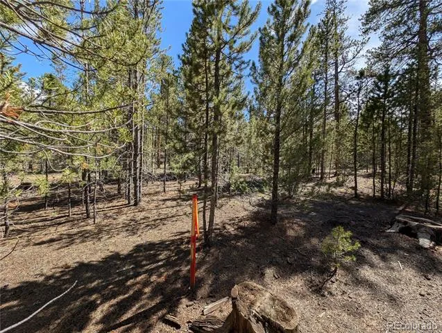 495 Birch Drive Twin Lakes, CO 81251